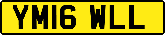 YM16WLL