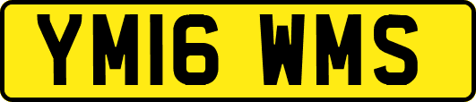 YM16WMS