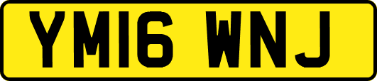 YM16WNJ