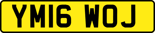 YM16WOJ