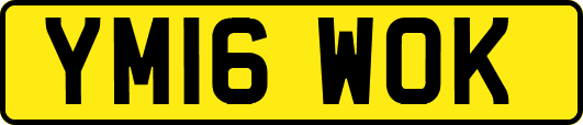 YM16WOK