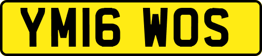 YM16WOS