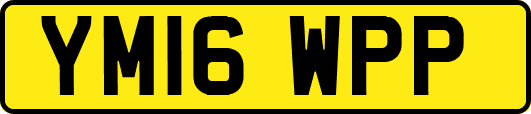 YM16WPP