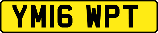 YM16WPT