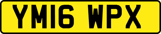 YM16WPX