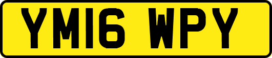 YM16WPY