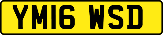 YM16WSD