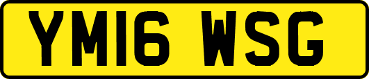 YM16WSG