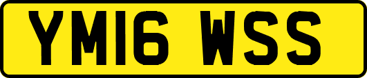 YM16WSS