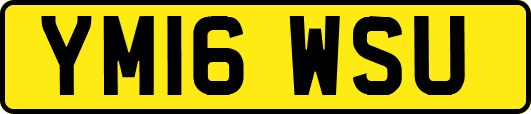 YM16WSU