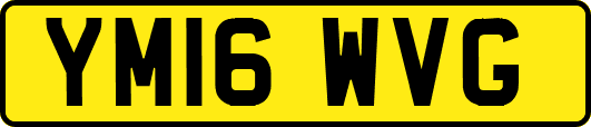 YM16WVG