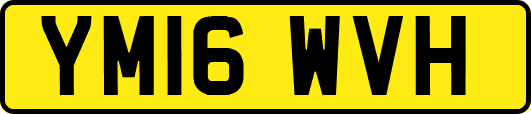 YM16WVH