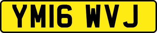 YM16WVJ