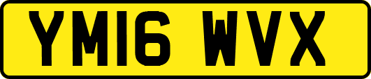 YM16WVX