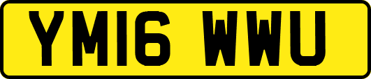 YM16WWU