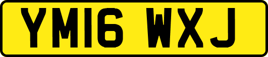 YM16WXJ