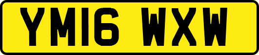 YM16WXW