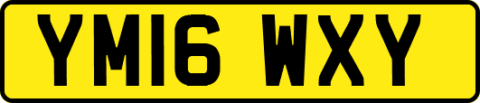 YM16WXY