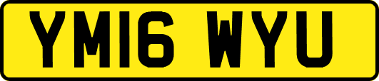 YM16WYU