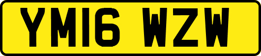 YM16WZW