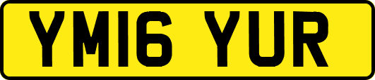 YM16YUR