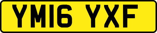 YM16YXF