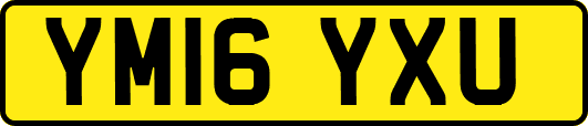 YM16YXU