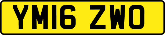 YM16ZWO