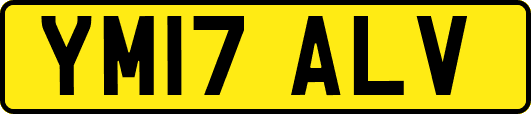 YM17ALV