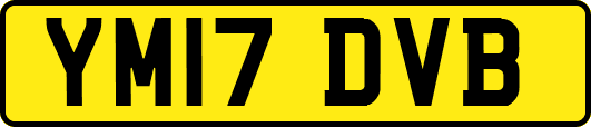 YM17DVB