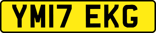 YM17EKG