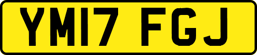 YM17FGJ