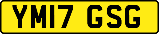 YM17GSG