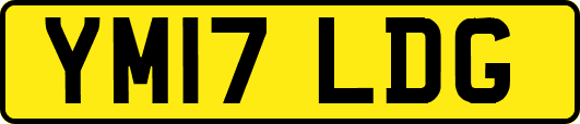 YM17LDG