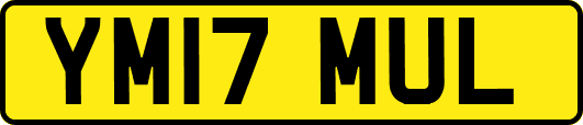 YM17MUL