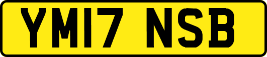 YM17NSB