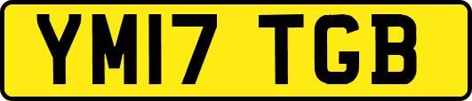 YM17TGB