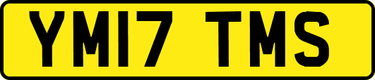 YM17TMS