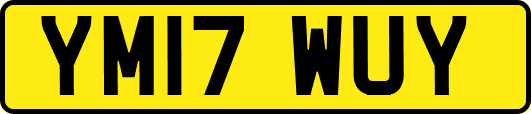YM17WUY