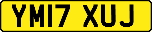 YM17XUJ