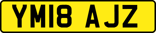 YM18AJZ