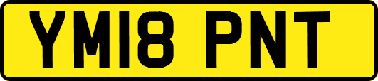 YM18PNT