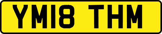 YM18THM