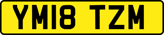 YM18TZM