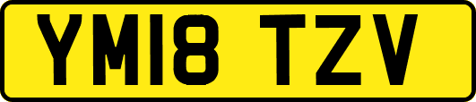 YM18TZV