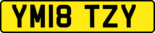 YM18TZY