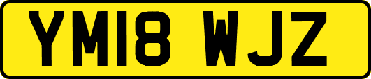 YM18WJZ