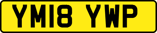 YM18YWP