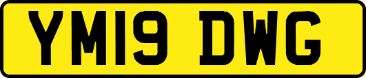 YM19DWG