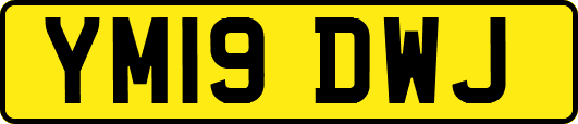 YM19DWJ